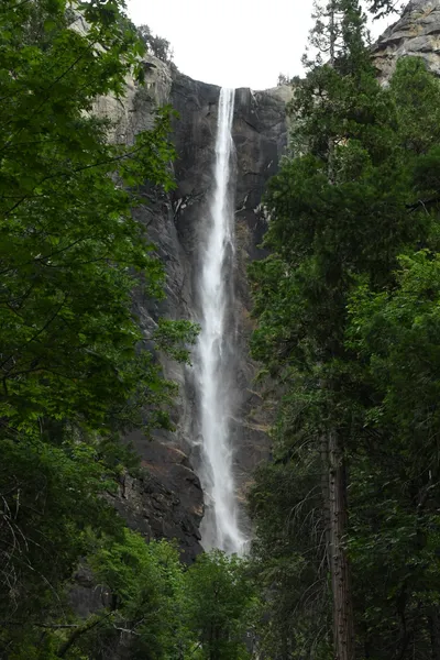 DSC_4601 (Large).JPG